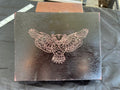 Box, Wood Engraved Winged Owl