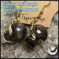 Earrings IAW Tiger’s Eye Mushroom